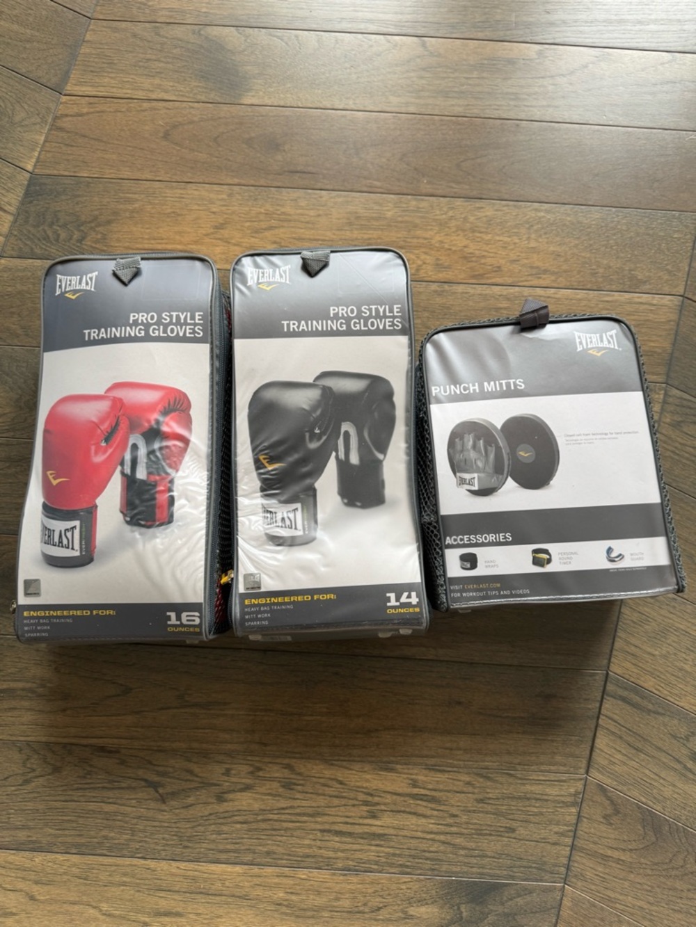 Everlast boxing glove set